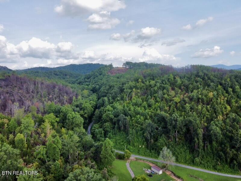 0 Lake Heights Road Tellico Plains, TN 37385 - Photo 8 of 11 dji_fly_20250722_174006_766_175322245028