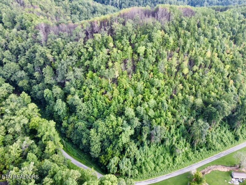 0 Lake Heights Road Tellico Plains, TN 37385 - Photo 9 of 11 dji_fly_20250722_174138_769_175322244646