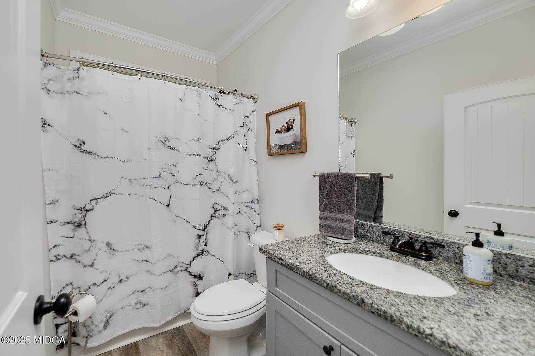 519 Barbara Court Forsyth, GA 31029 - Photo 32 of 39 a bathroom with a granite countertop toilet sink and mirror