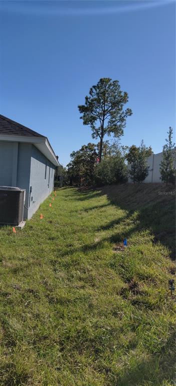 13175 Gulf Bay Ln Spring Hill Spring Hill, FL 34609 - Photo 17 of 23