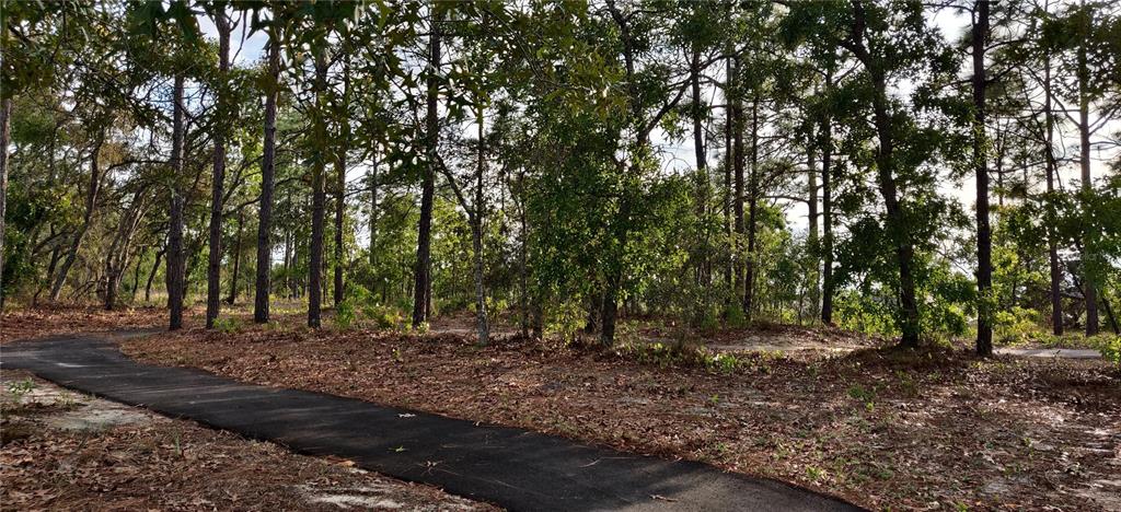 13175 Gulf Bay Ln Spring Hill Spring Hill, FL 34609 - Photo 23 of 23