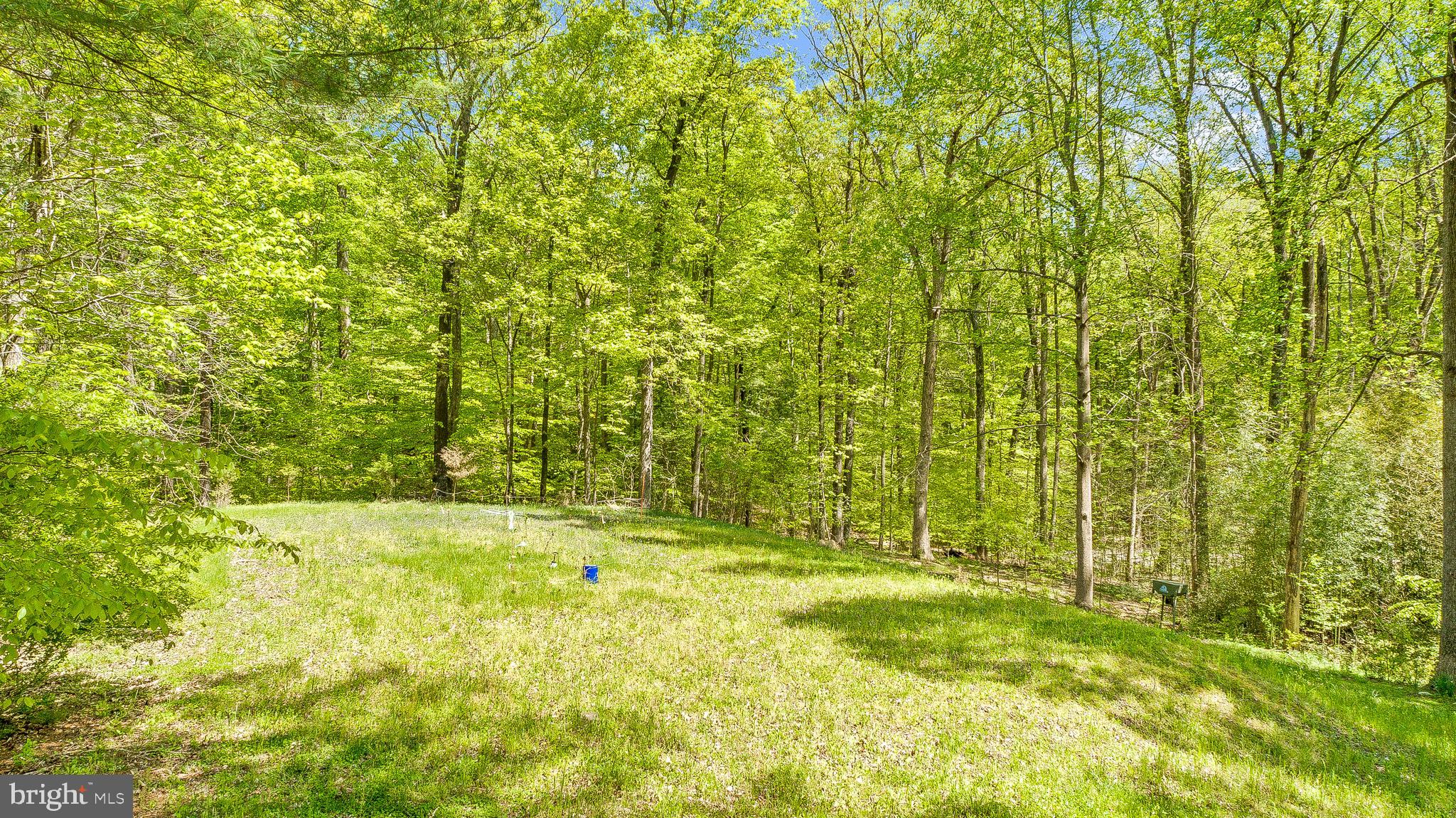 7290 Simms Landing Road Port Tobacco, MD 20677 - Photo 56 of 74 Large cleared area side yard