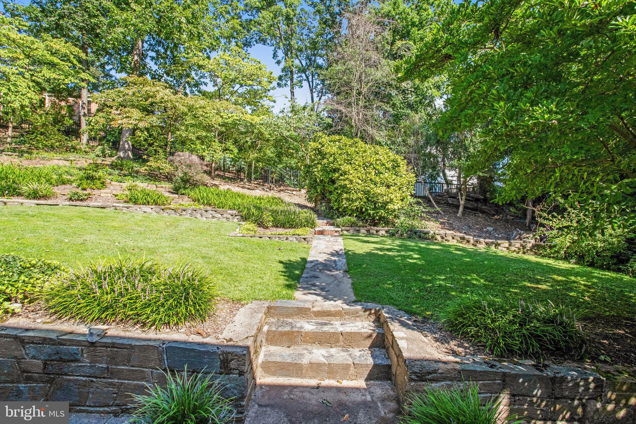 3424 Woodside Road Alexandria, VA 22310 - Photo 53 of 56 lovely terraced yard