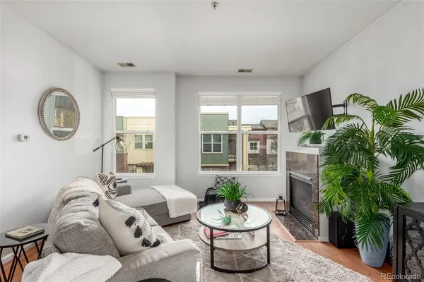 a living room with furniture and a potted plant