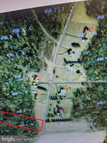 a sign that is on a tree