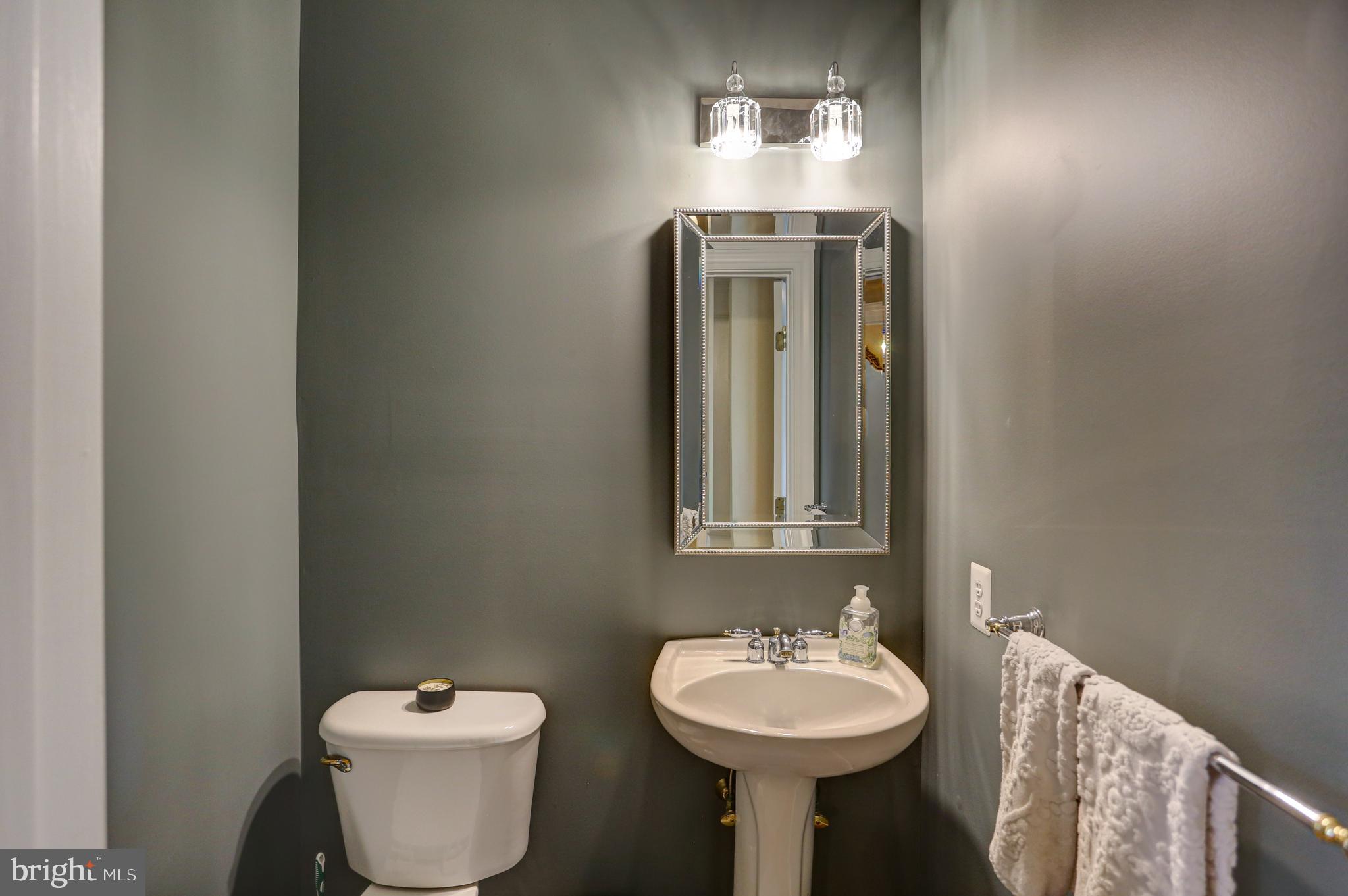 13 Doyle Street Doylestown, PA 18901 - Photo 17 of 39 1st floor powder room