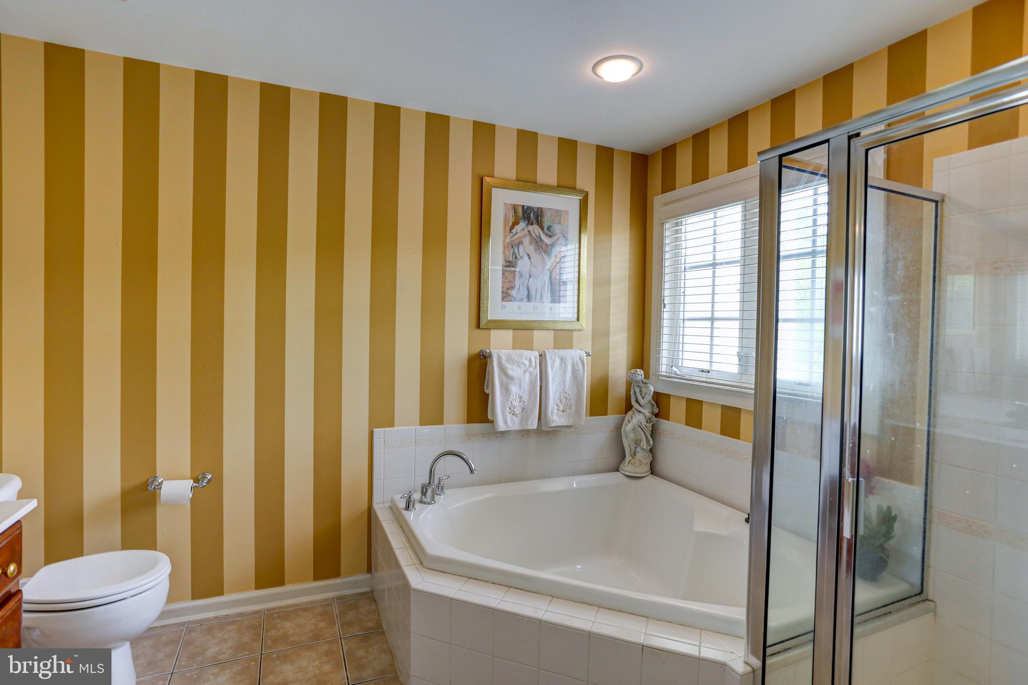 13 Doyle Street Doylestown, PA 18901 - Photo 21 of 39 Relax in the tub
