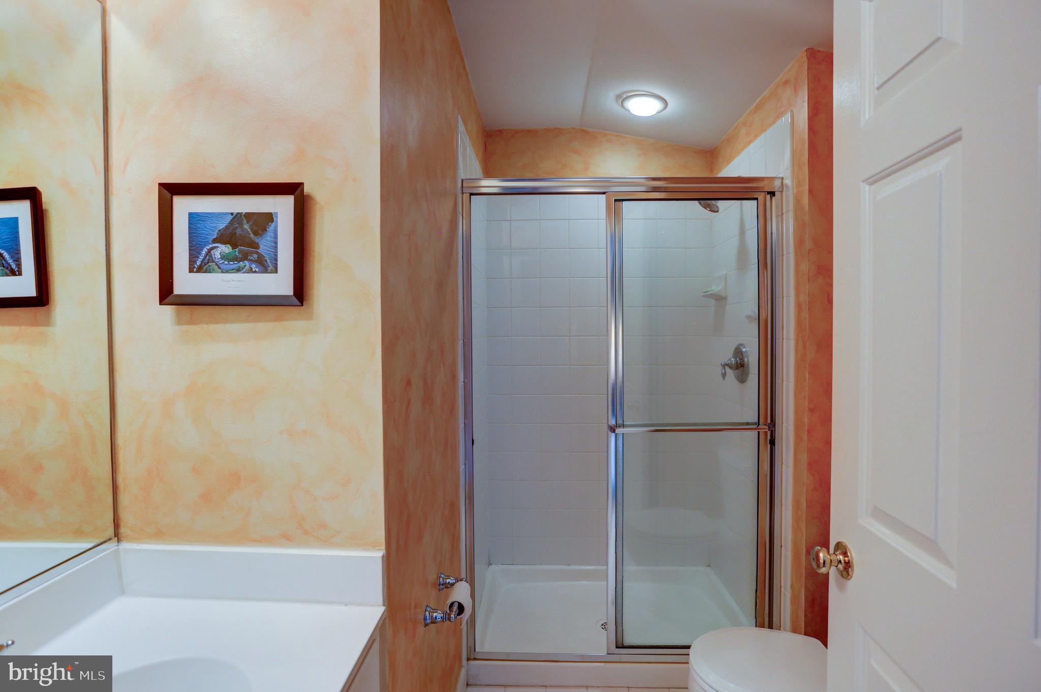 13 Doyle Street Doylestown, PA 18901 - Photo 30 of 39 Guest suite bath