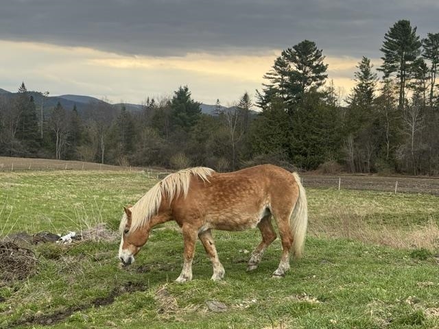 1388 Taylor Farm Road Marshfield, VT 05667 - Photo 53 of 60