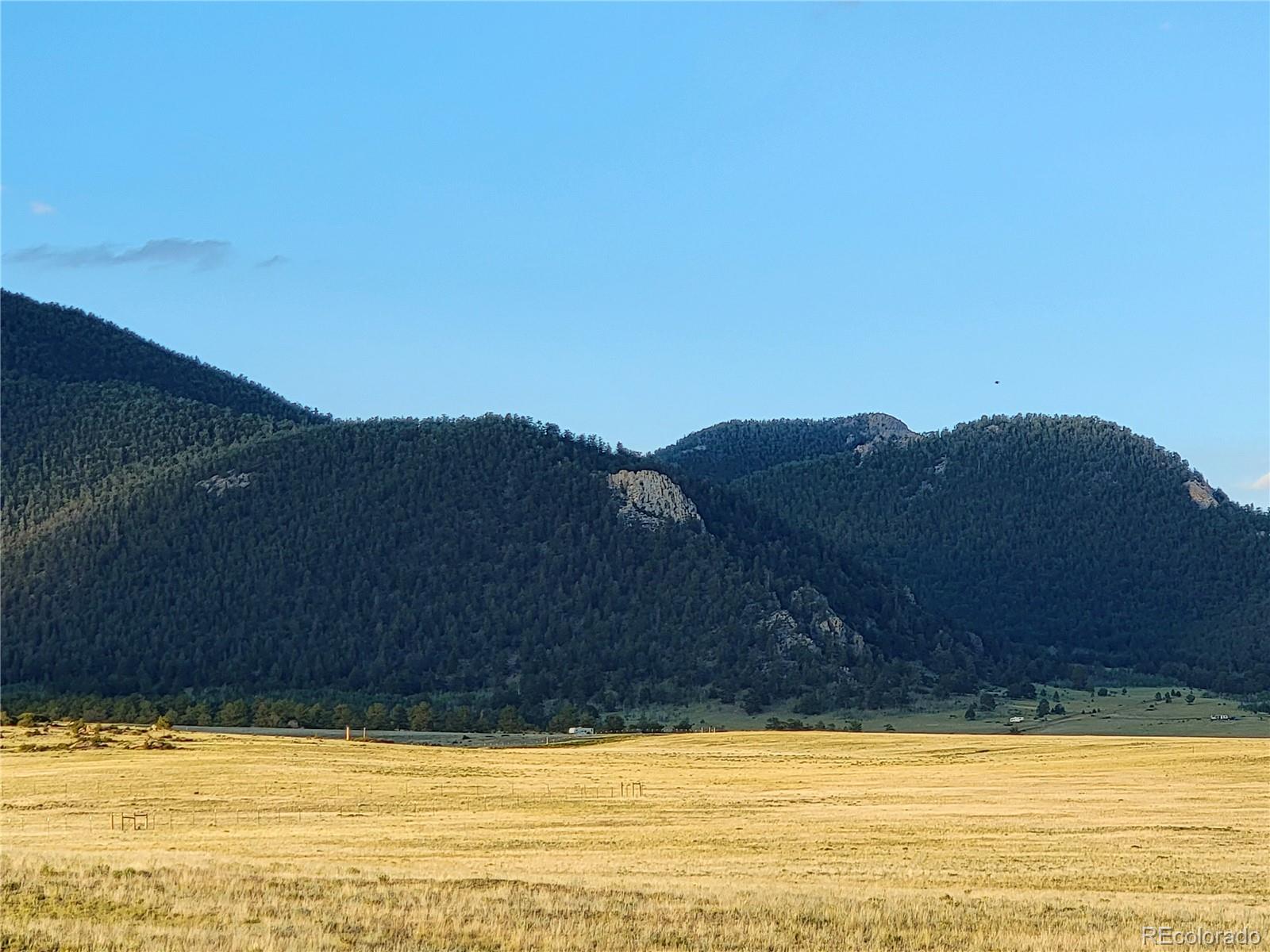 6065 Mesa Road Hartsel, CO 80449 - Photo 17 of 21 a view of a large swimming pool and mountain view