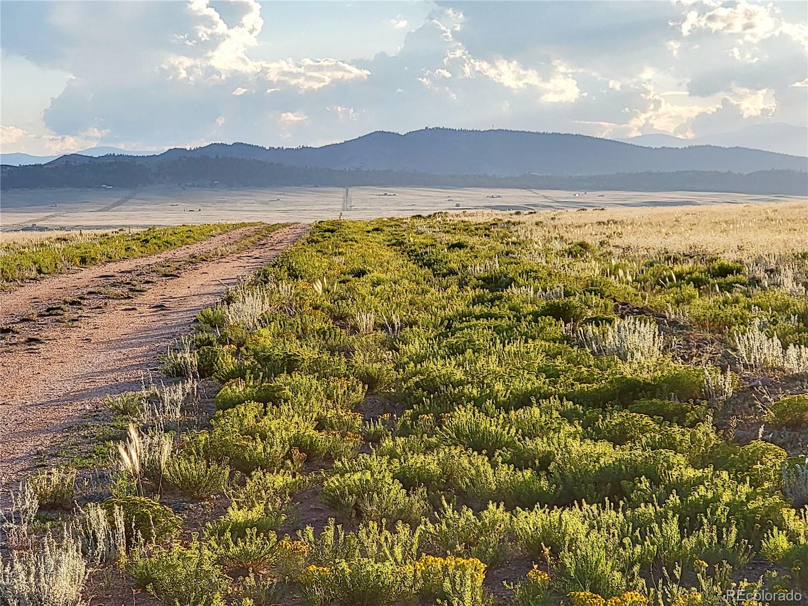 6065 Mesa Road Hartsel, CO 80449 - Photo 20 of 21 a view of an ocean and a mountain
