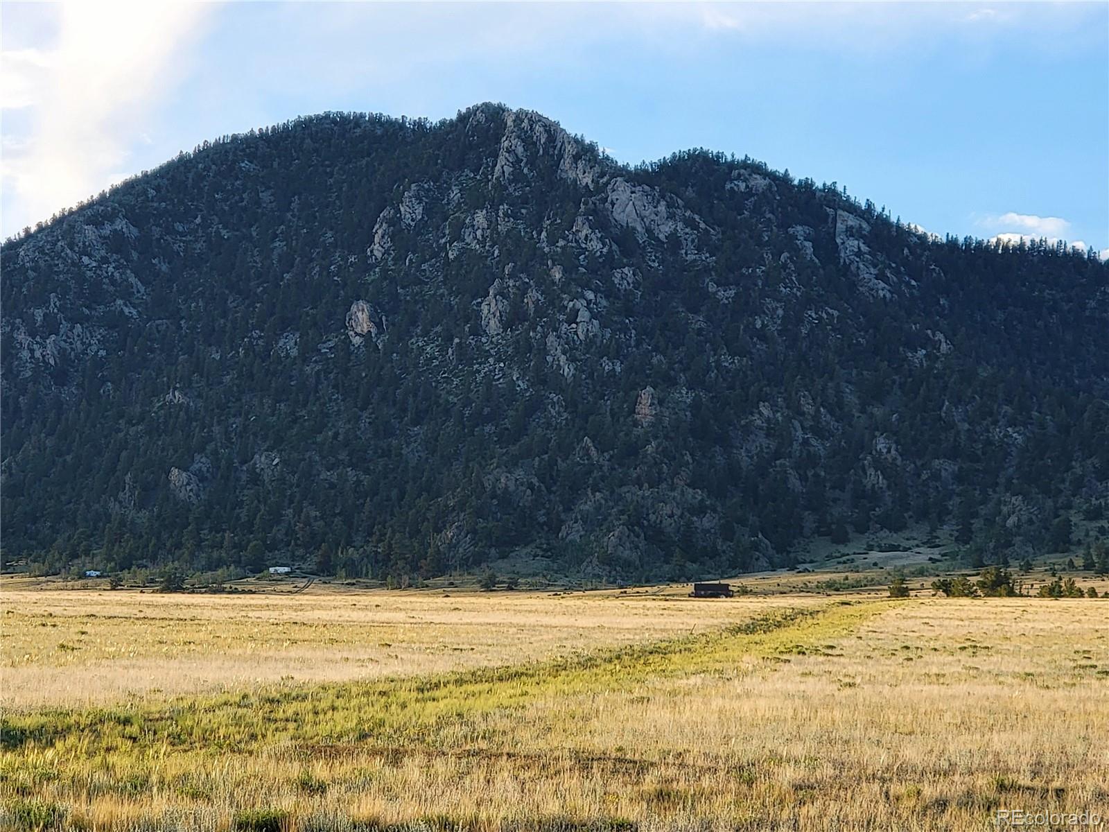 6065 Mesa Road Hartsel, CO 80449 - Photo 5 of 21 a view of a backyard
