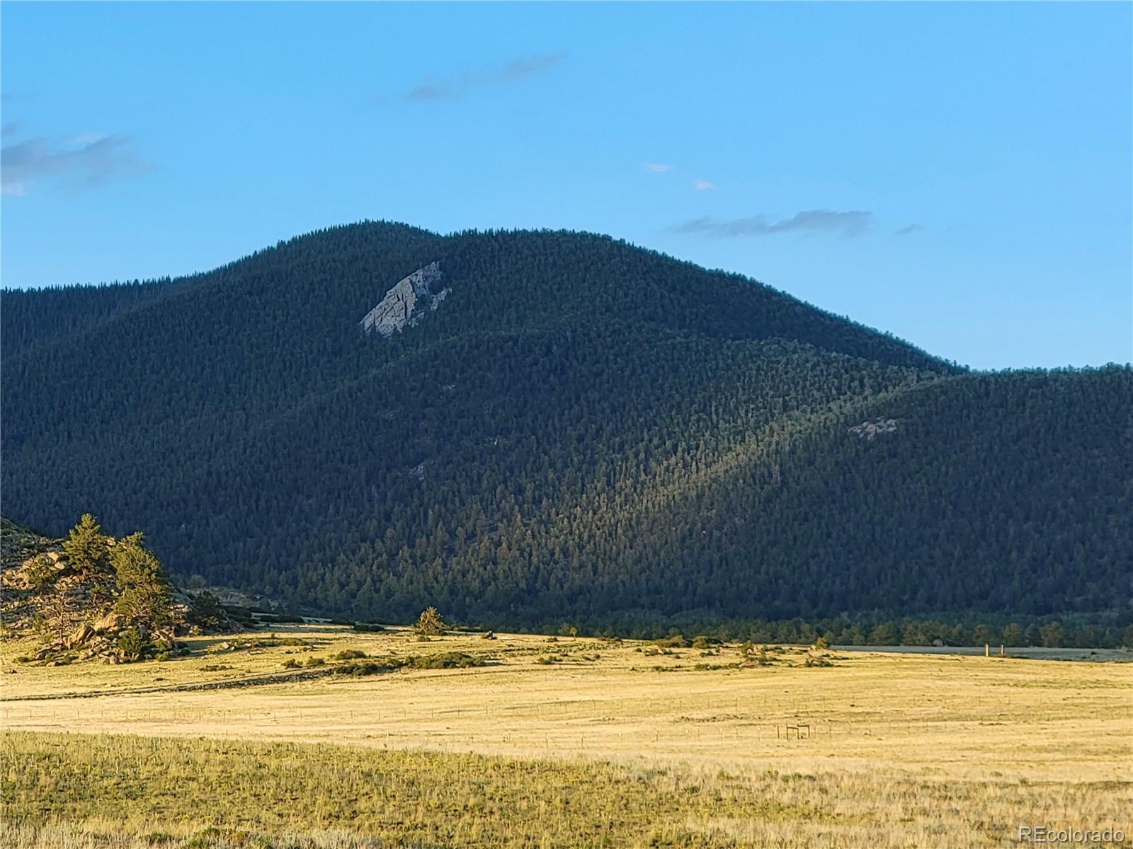 6065 Mesa Road Hartsel, CO 80449 - Photo 7 of 21