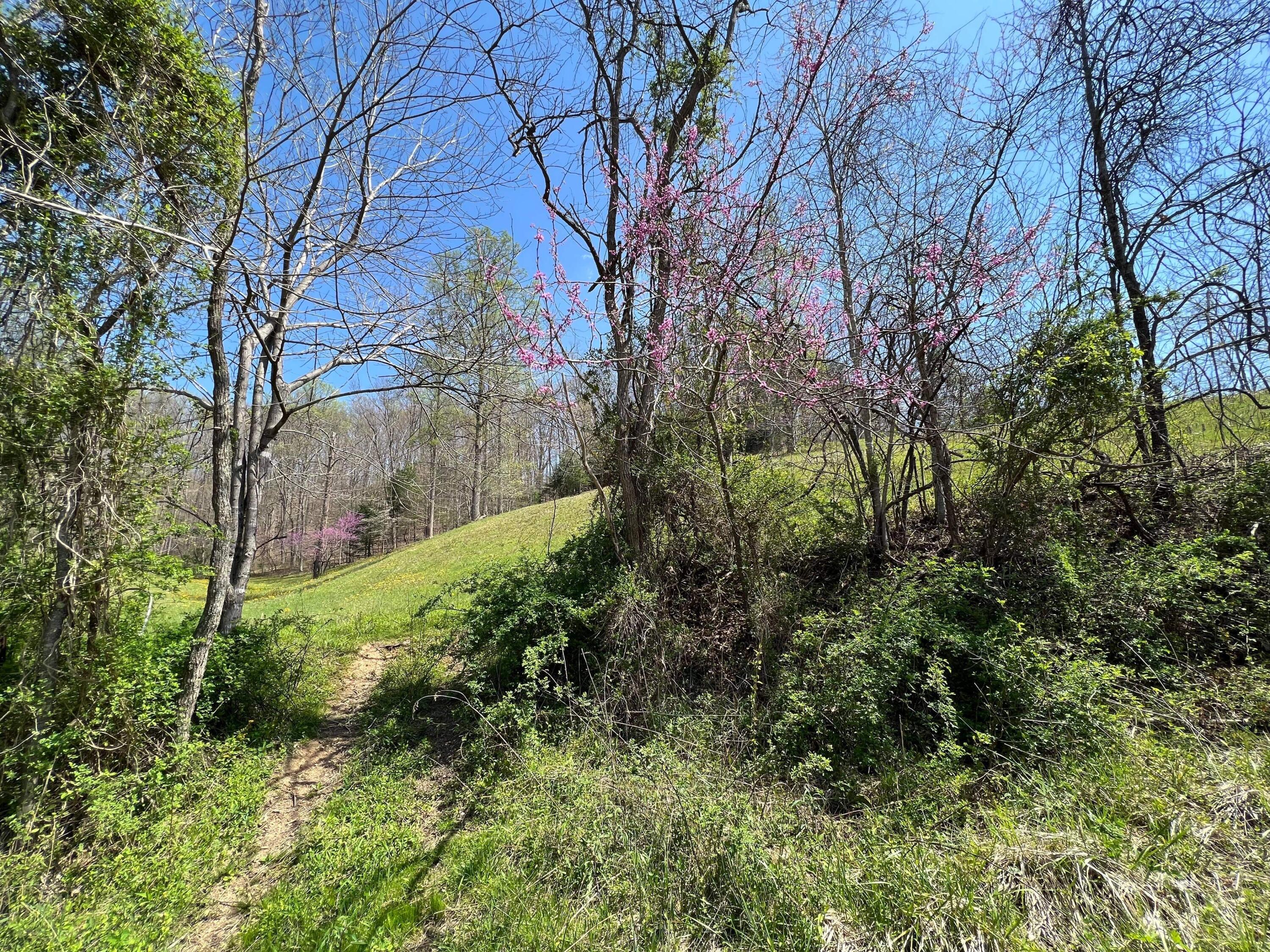 1 Dunn Road Campton, KY 41301 - Photo 29 of 69 IMG_7900