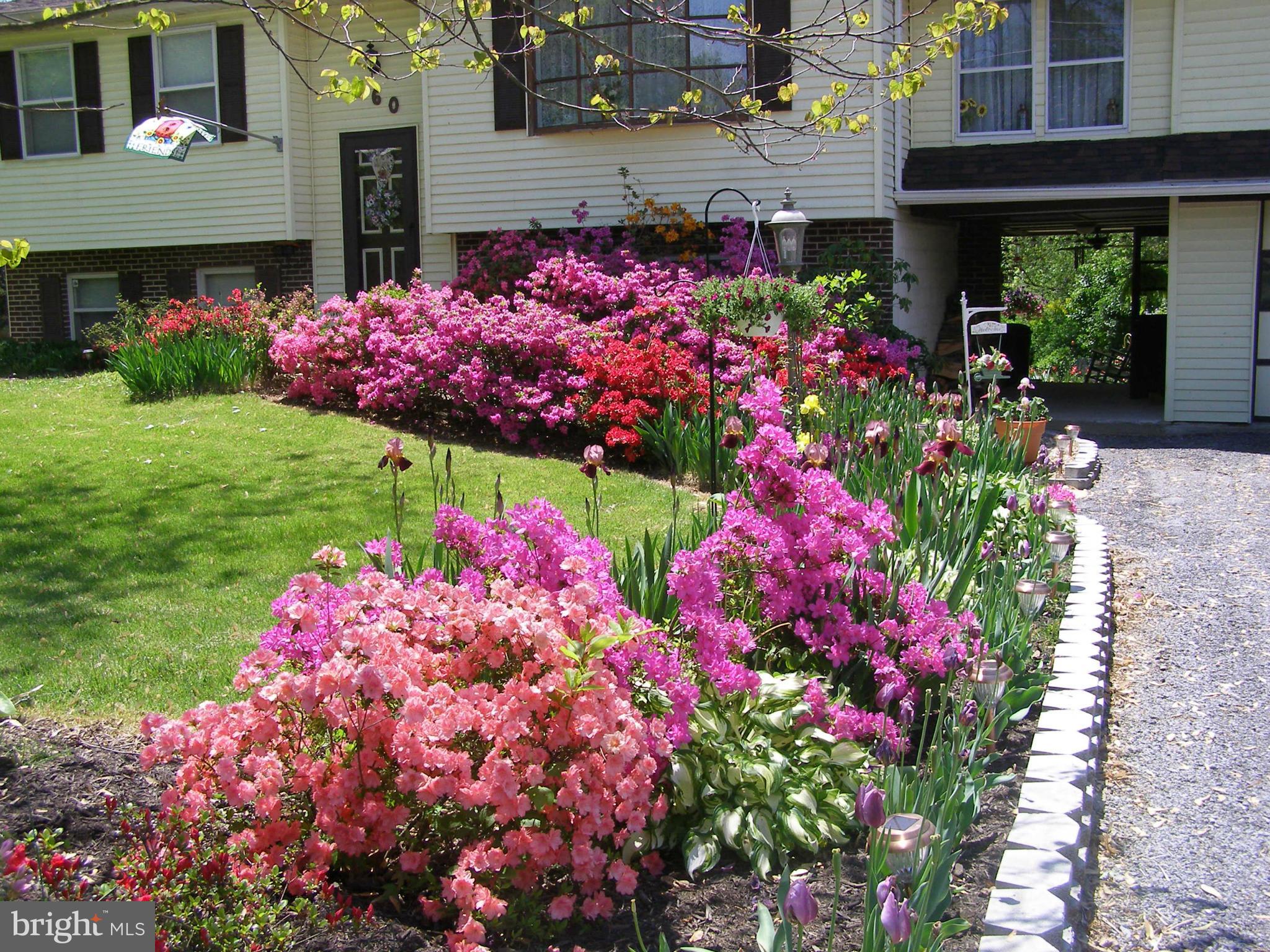 160 Almost Heaven Road Falling Waters, WV 25419 - Photo 3 of 30 a view of house with a lot of flower and flowers