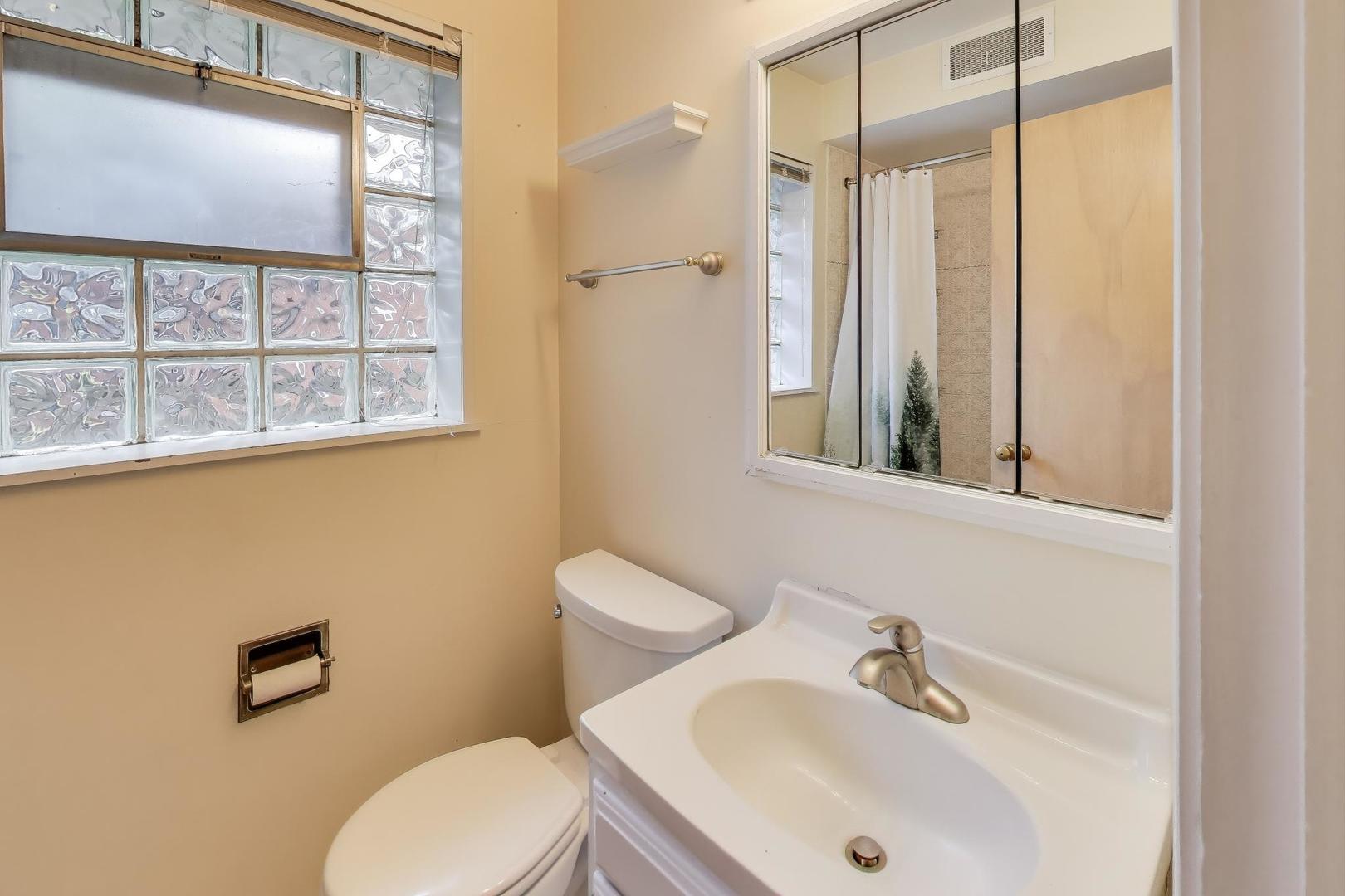 507 North Hamlin Avenue Park Ridge, IL 60068 - Photo 18 of 30 a bathroom with a sink mirror and a toilet