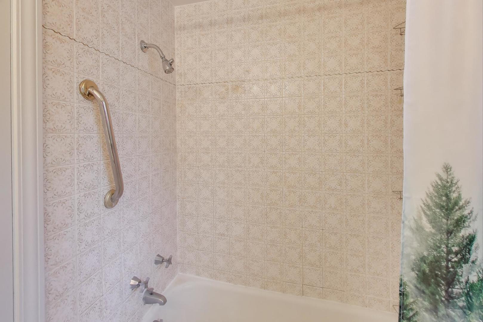 507 North Hamlin Avenue Park Ridge, IL 60068 - Photo 19 of 30 a bathroom with a shower