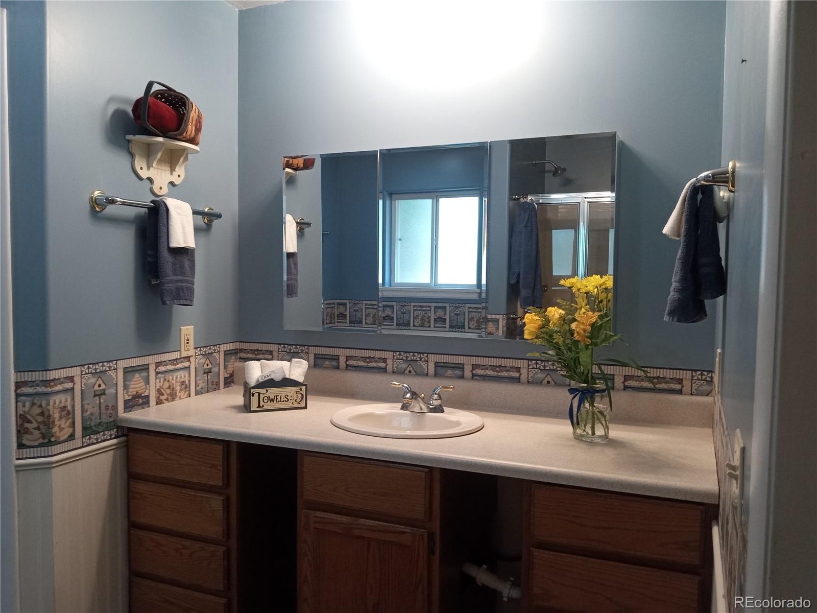 7150 South Platte Canyon Road Littleton, CO 80128 - Photo 13 of 37 a bathroom with a sink and a mirror