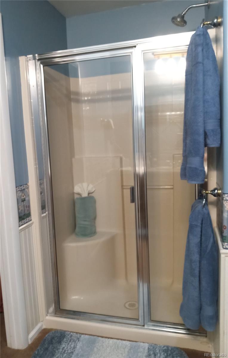 7150 South Platte Canyon Road Littleton, CO 80128 - Photo 15 of 37 a bathroom with a glass shower door