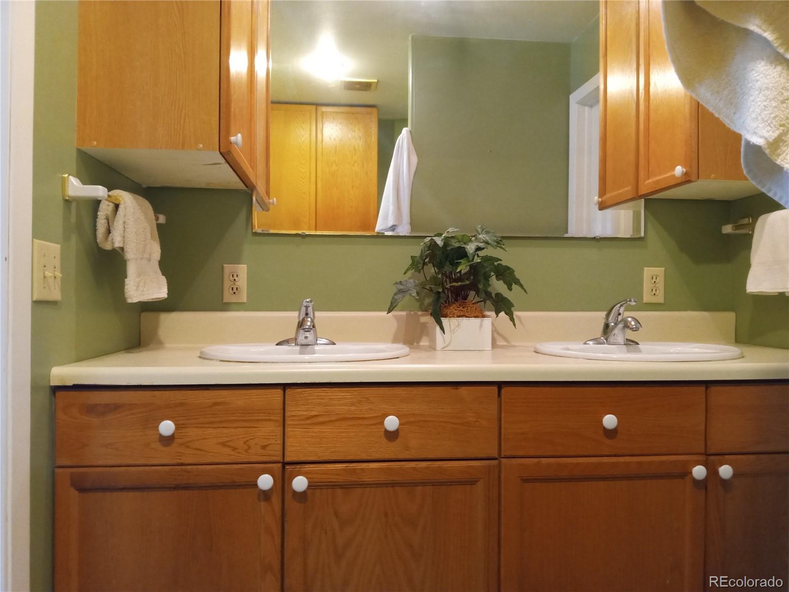 7150 South Platte Canyon Road Littleton, CO 80128 - Photo 34 of 37 a bathroom with a sink and a mirror