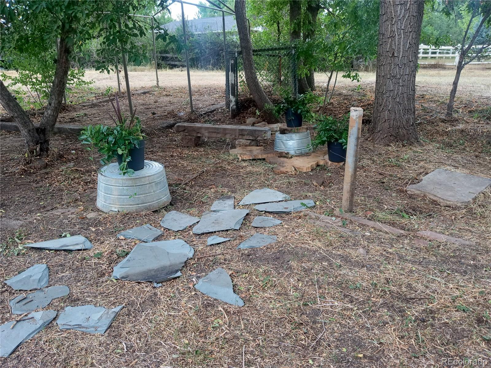 7150 South Platte Canyon Road Littleton, CO 80128 - Photo 9 of 37 a view of a backyard with plants and tree