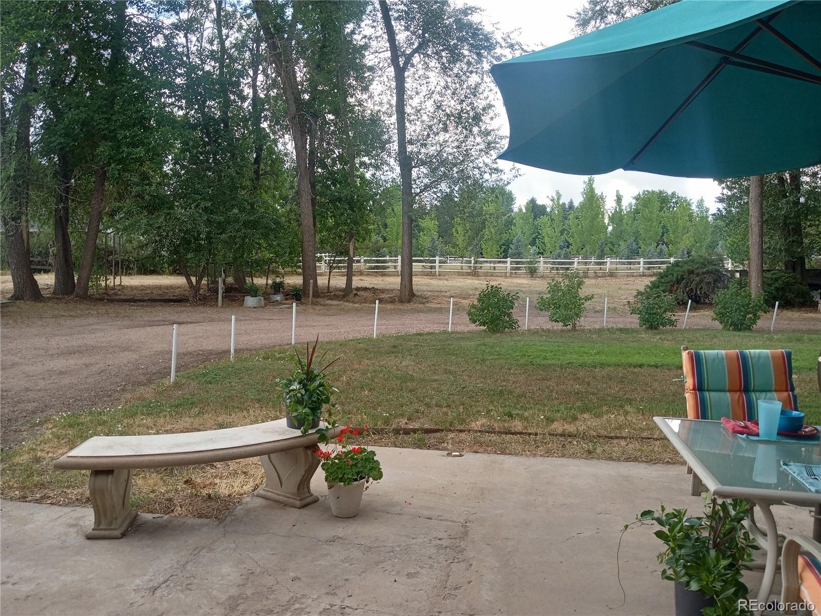 7150 South Platte Canyon Road Littleton, CO 80128 - Photo 10 of 37 a view of a park with plants and a lake view