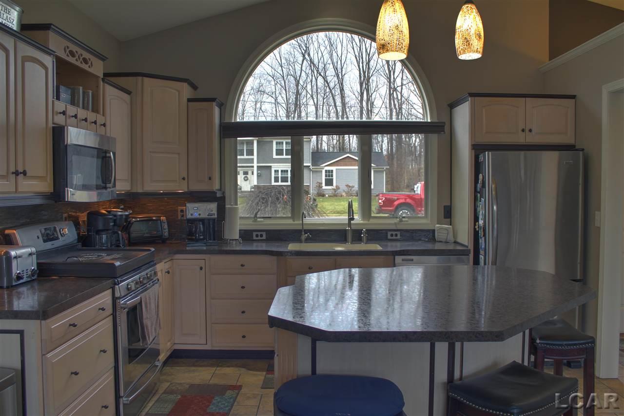 4781 Hooks Mill Road Adrian, MI 49221 - Photo 4 of 19