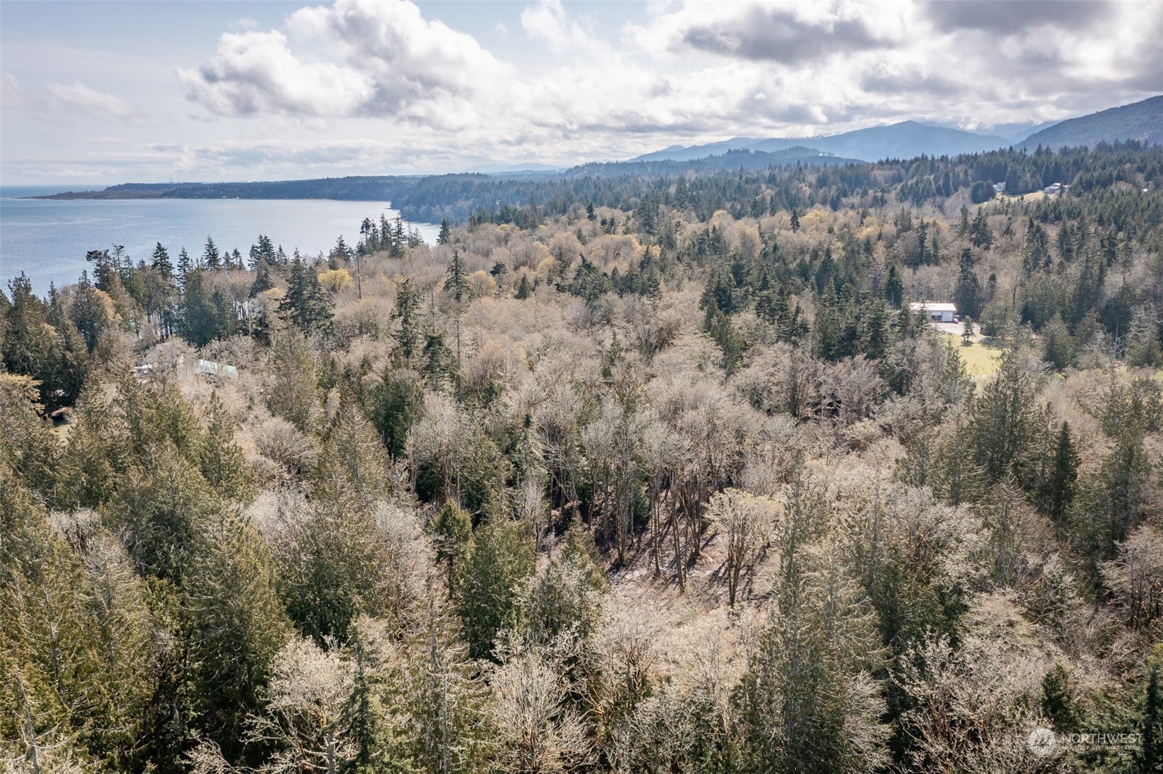 9999 Lawrence Pointe Road, Unit LOT 3 Port Angeles, WA 98363 - Photo 11 of 39 Gallery Image 11