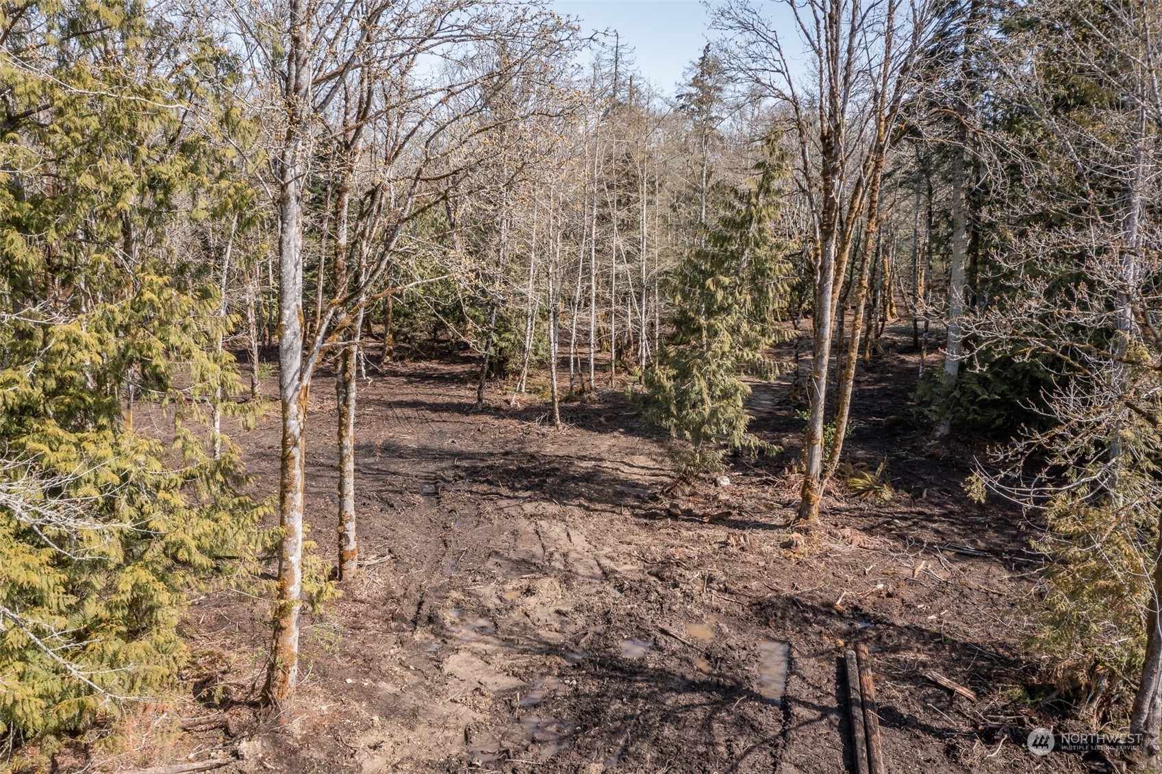 9999 Lawrence Pointe Road, Unit LOT 3 Port Angeles, WA 98363 - Photo 12 of 39 Gallery Image 12