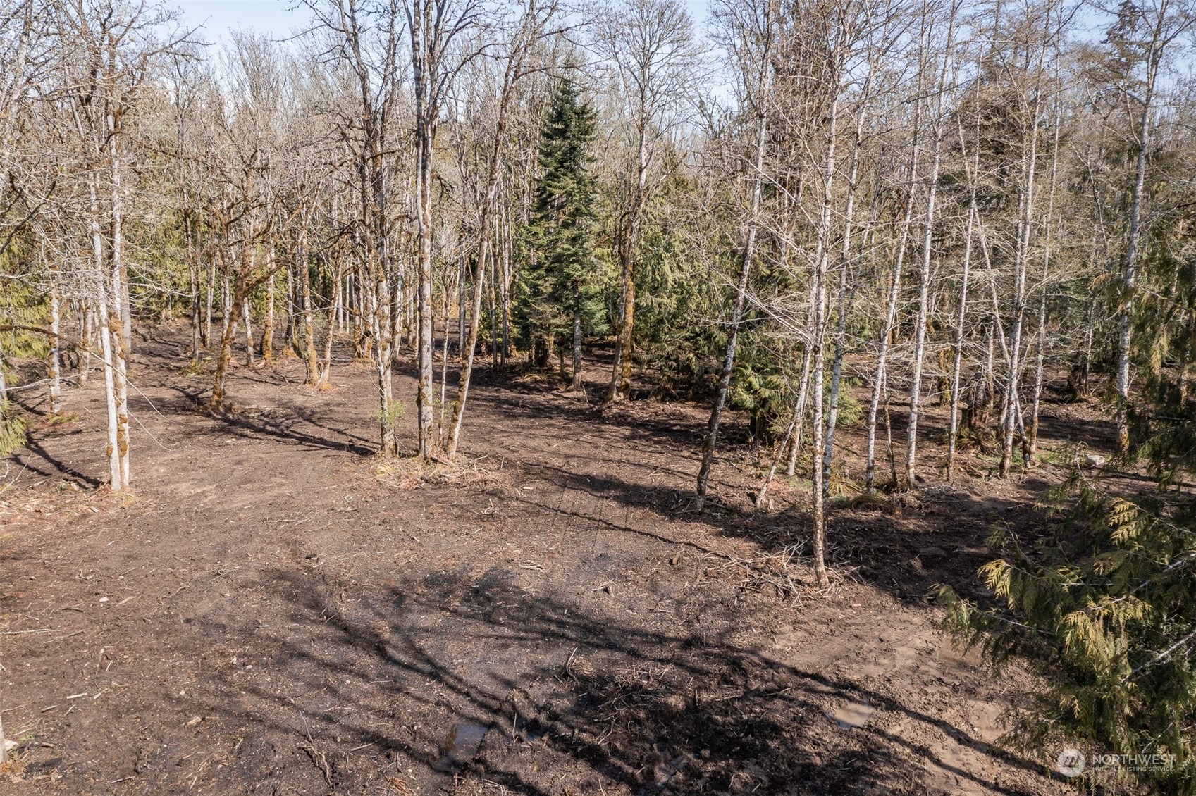 9999 Lawrence Pointe Road, Unit LOT 3 Port Angeles, WA 98363 - Photo 13 of 39 Gallery Image 13