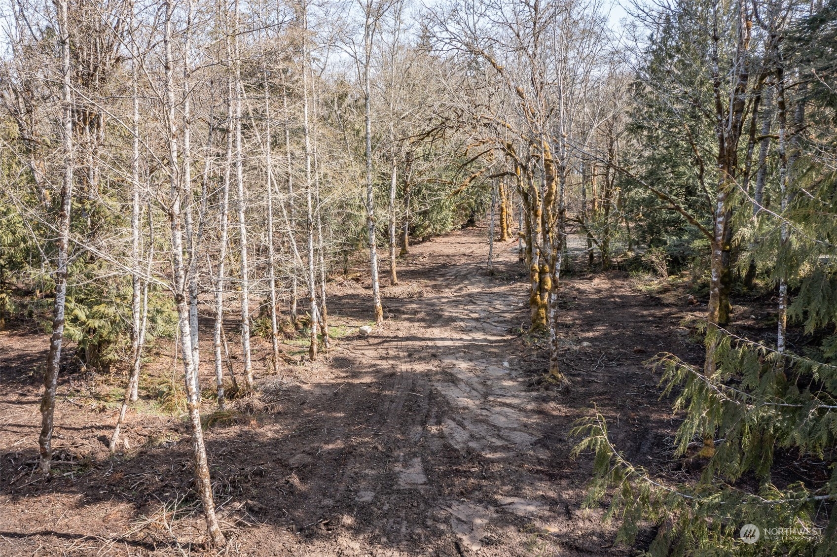 9999 Lawrence Pointe Road, Unit LOT 3 Port Angeles, WA 98363 - Photo 15 of 39 Gallery Image 15