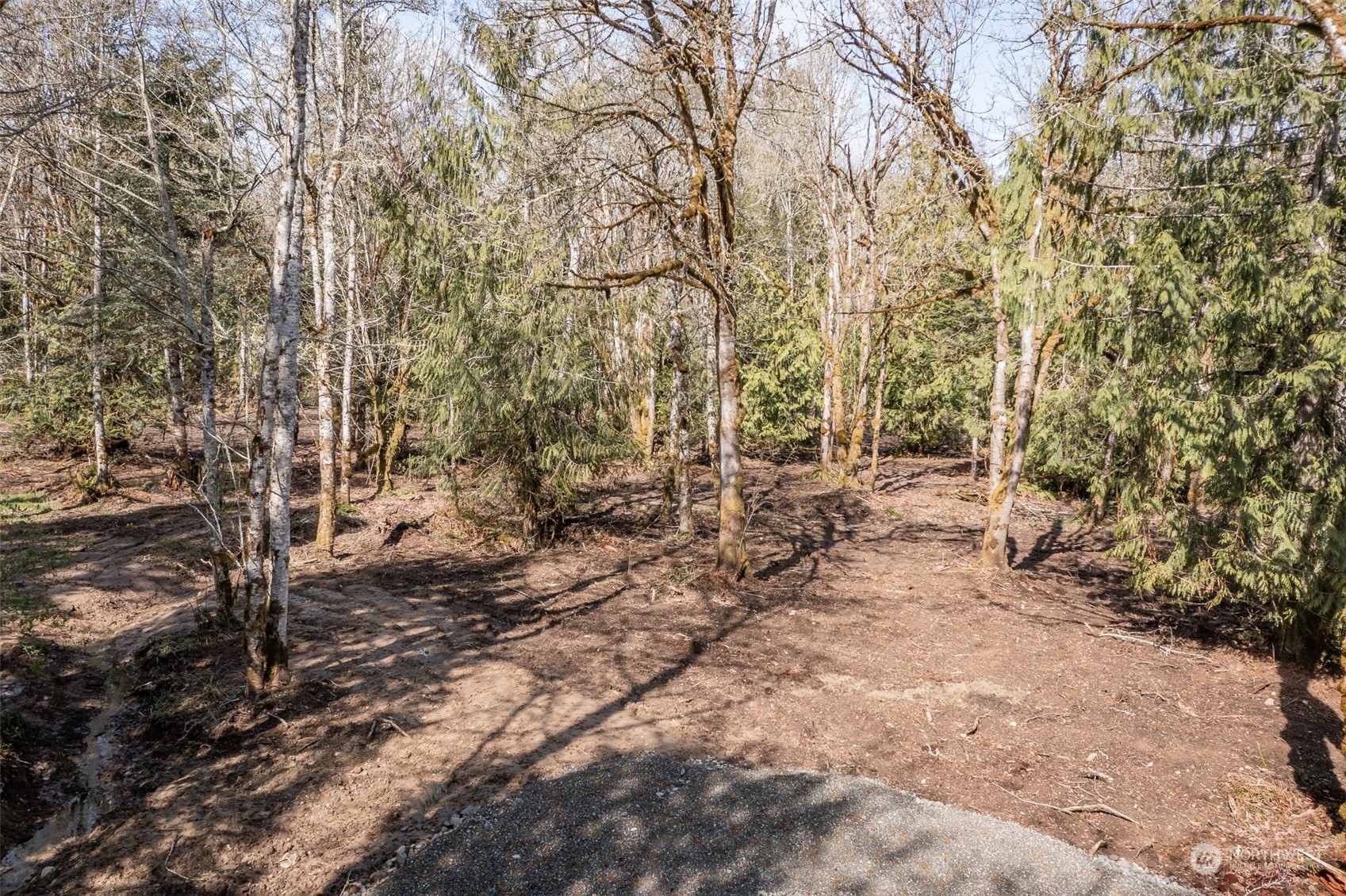 9999 Lawrence Pointe Road, Unit LOT 3 Port Angeles, WA 98363 - Photo 17 of 39 Gallery Image 17