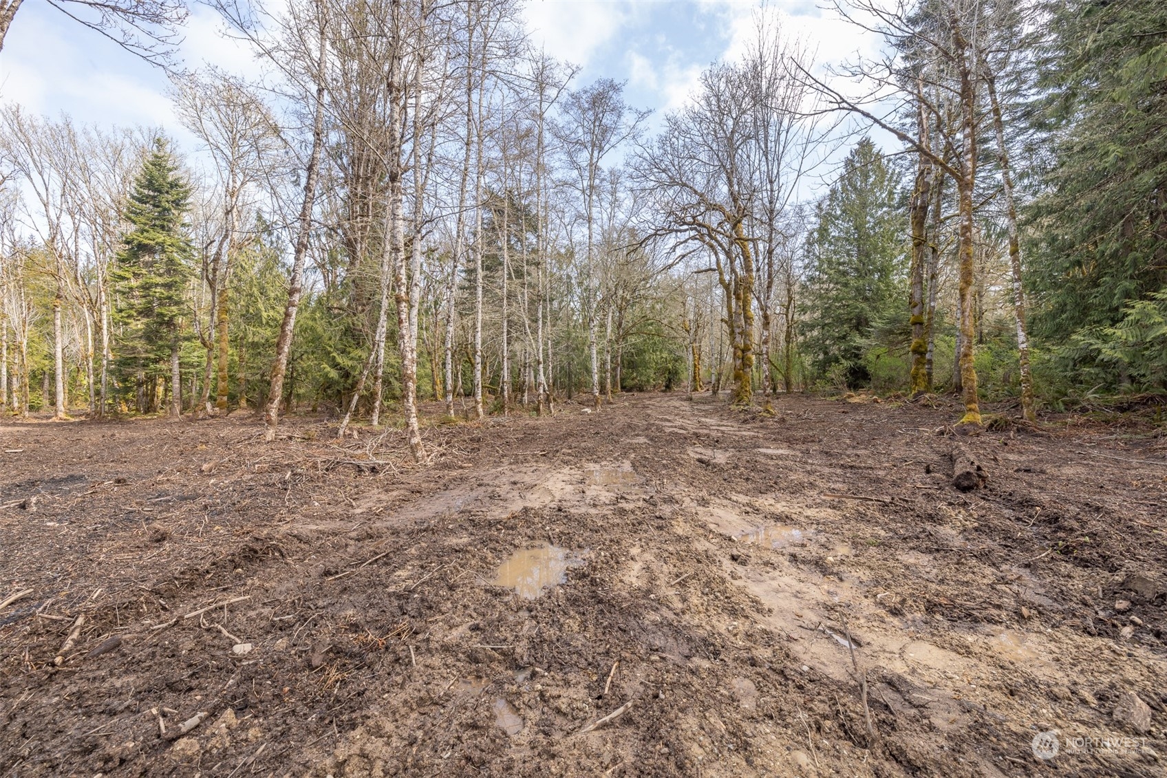 9999 Lawrence Pointe Road, Unit LOT 3 Port Angeles, WA 98363 - Photo 22 of 39 Gallery Image 22