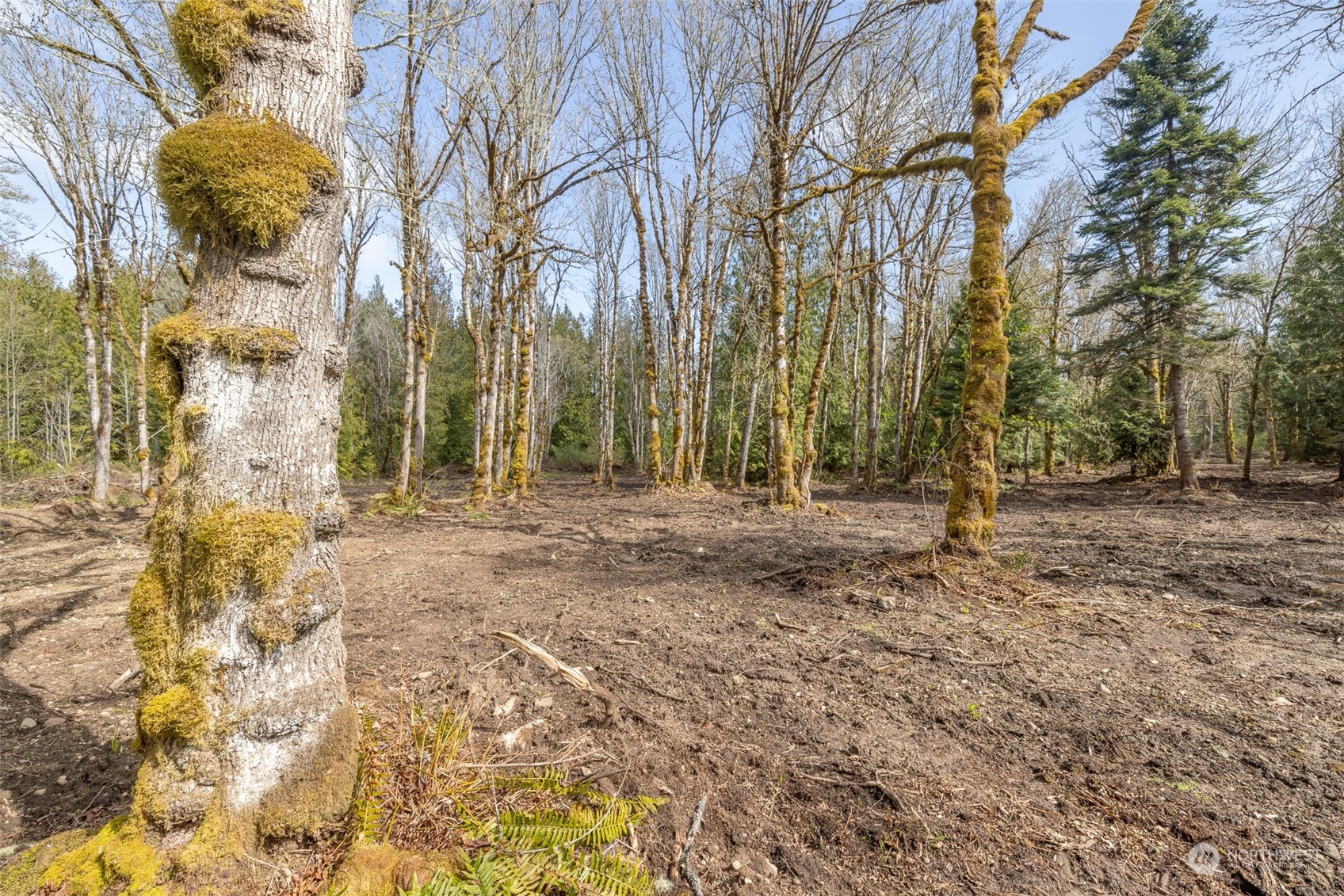 9999 Lawrence Pointe Road, Unit LOT 3 Port Angeles, WA 98363 - Photo 24 of 39 Gallery Image 24
