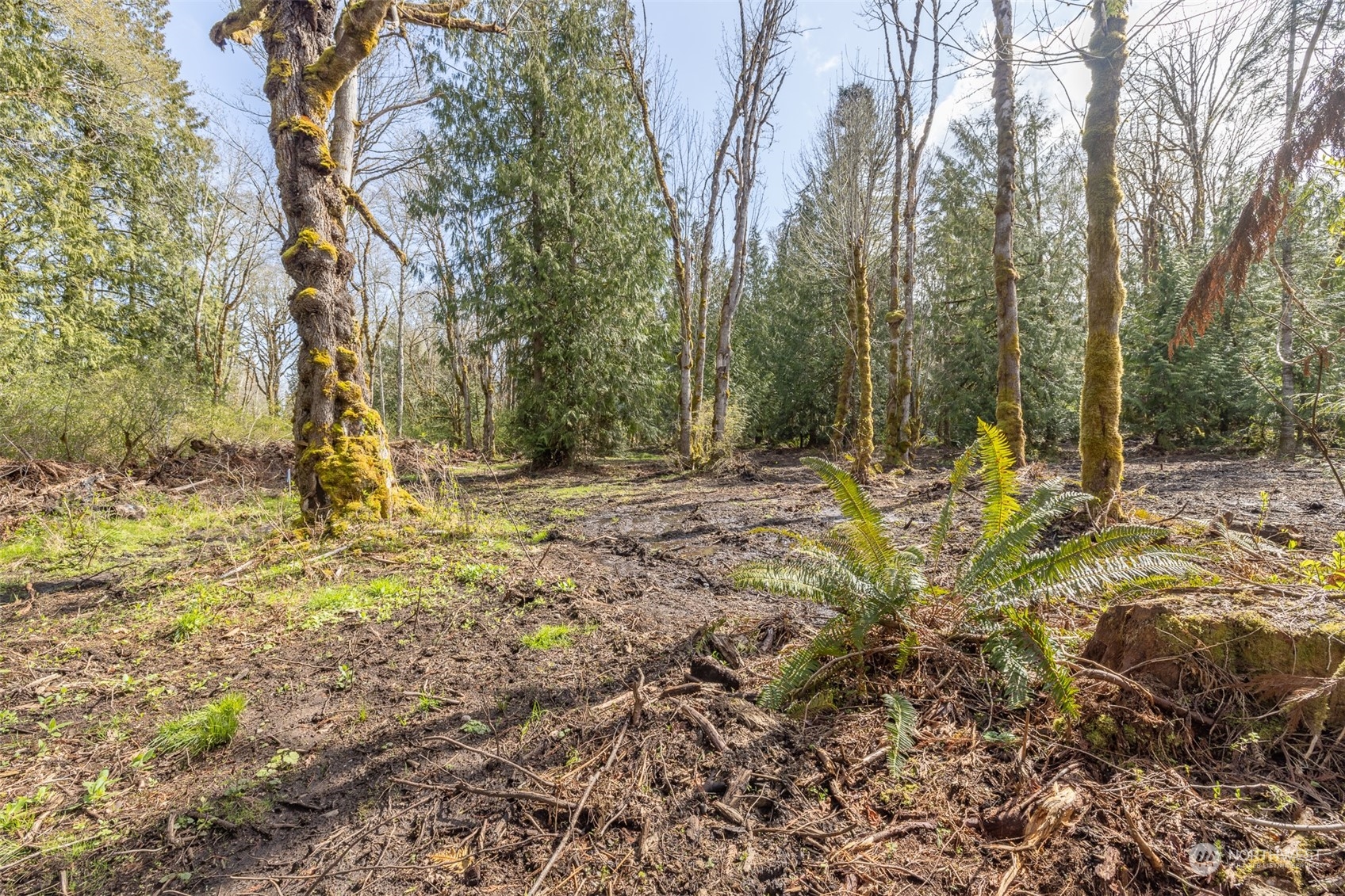 9999 Lawrence Pointe Road, Unit LOT 3 Port Angeles, WA 98363 - Photo 26 of 39 Gallery Image 26