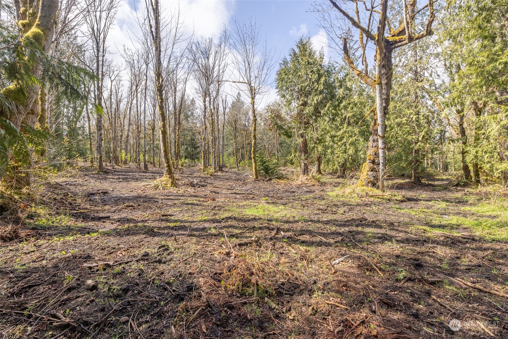 9999 Lawrence Pointe Road, Unit LOT 3 Port Angeles, WA 98363 - Photo 27 of 39 Gallery Image 27