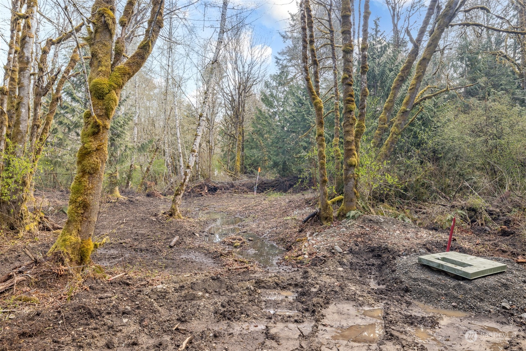 9999 Lawrence Pointe Road, Unit LOT 3 Port Angeles, WA 98363 - Photo 32 of 39 Gallery Image 32
