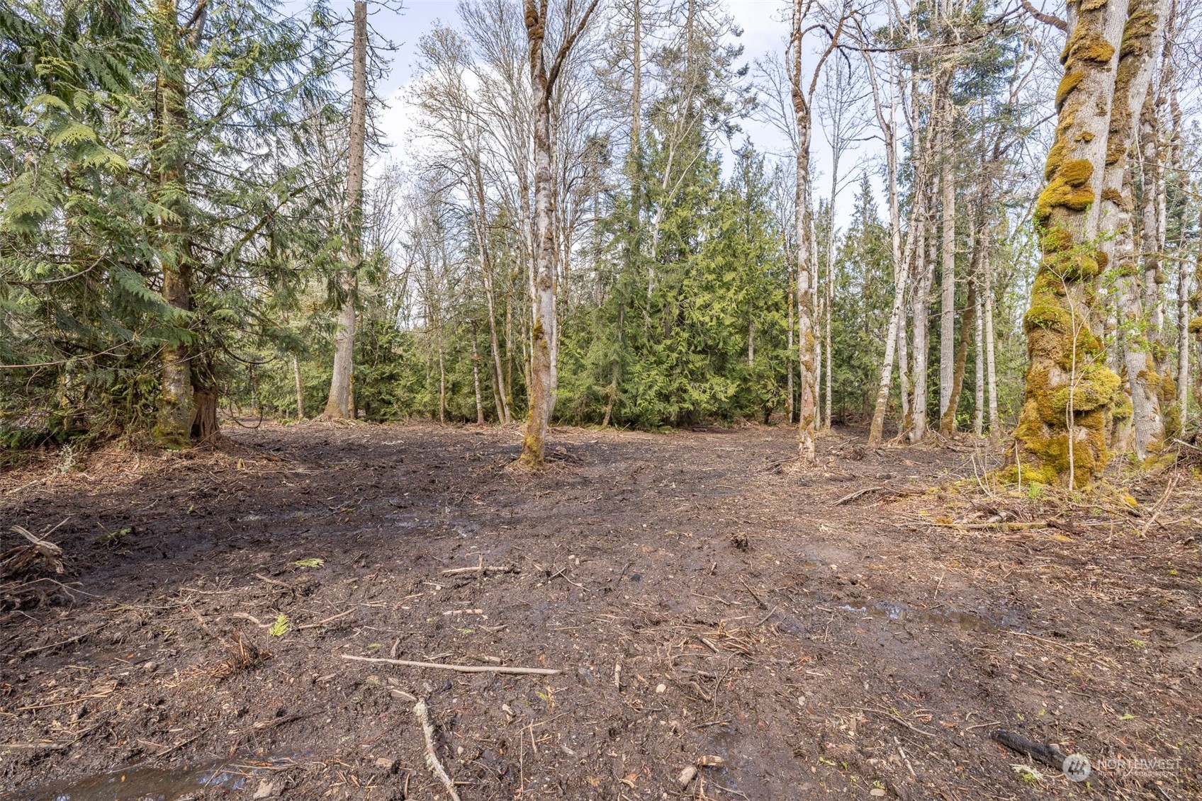 9999 Lawrence Pointe Road, Unit LOT 3 Port Angeles, WA 98363 - Photo 33 of 39 Gallery Image 33