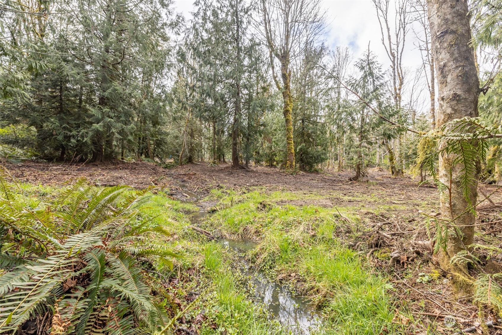 9999 Lawrence Pointe Road, Unit LOT 3 Port Angeles, WA 98363 - Photo 36 of 39 Gallery Image 36