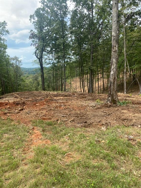 Lot 56 Ridge Line Trail Talking Rock, GA 30175 - Photo 2 of 2 Gallery Image 2