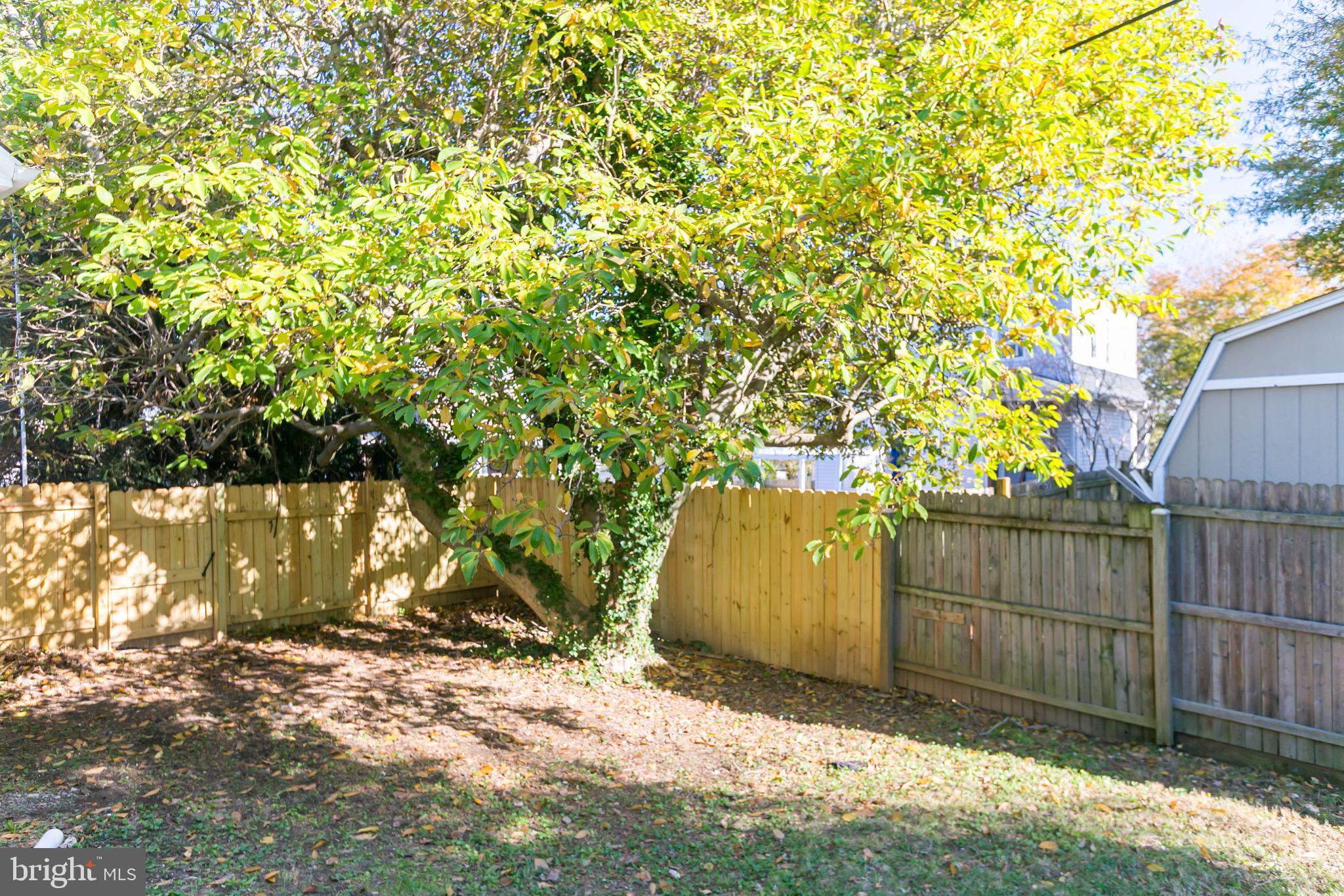 500 Kingston Road Baltimore, MD 21229 - Photo 31 of 32 Large fenced in yard