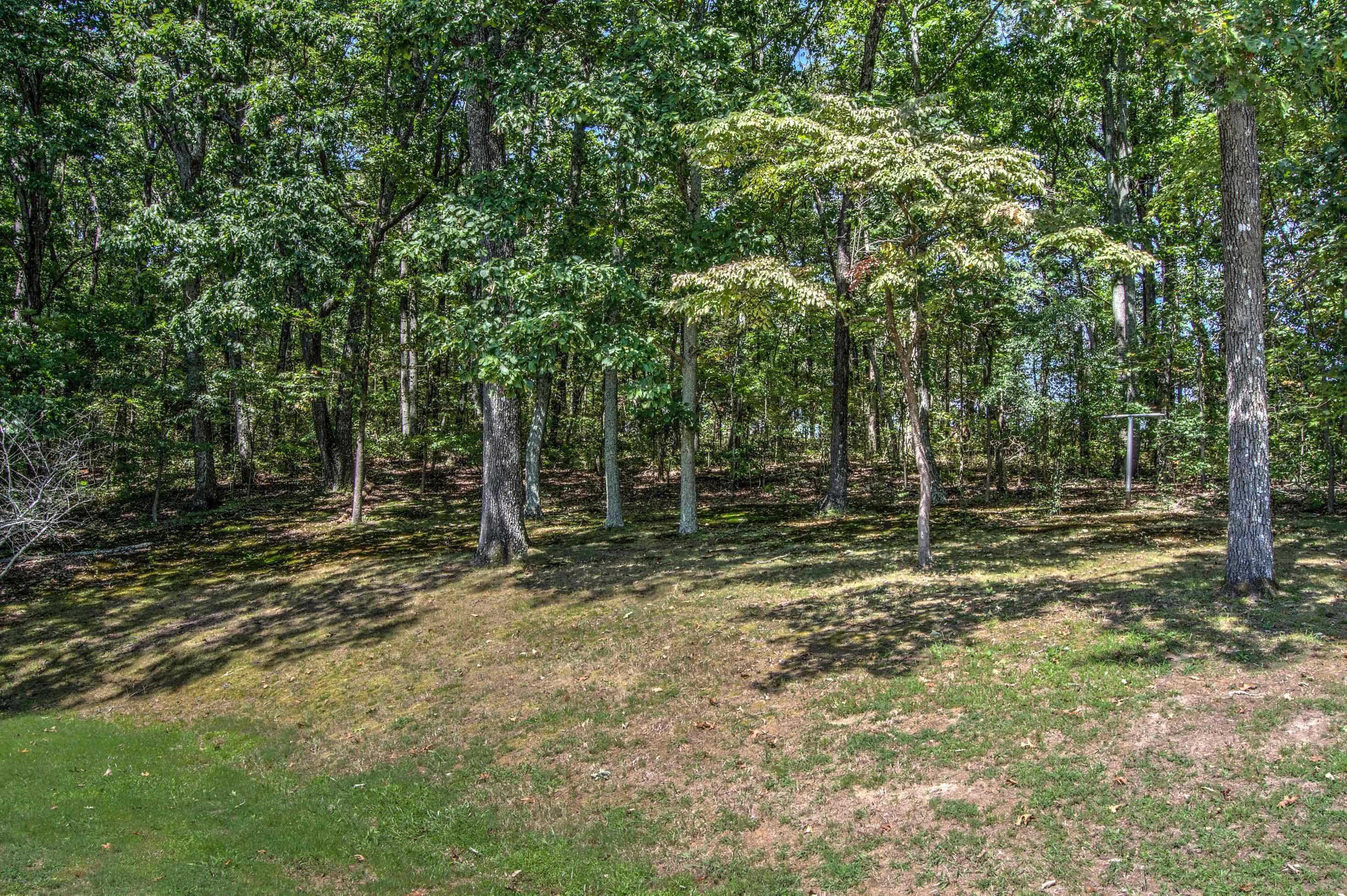 110 Hughes Road Trenton, GA 30752 - Photo 43 of 63 Camera43