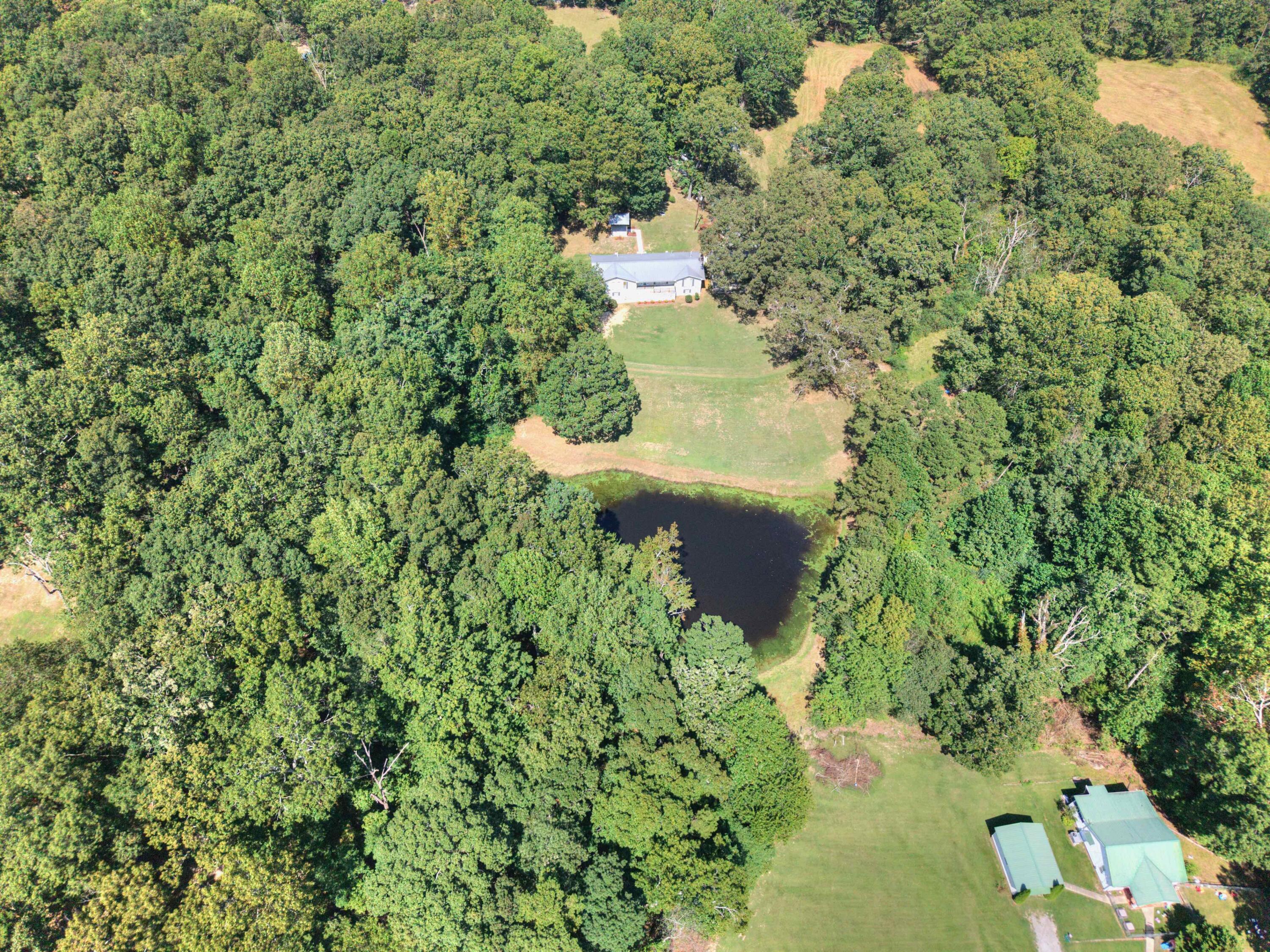 110 Hughes Road Trenton, GA 30752 - Photo 55 of 63 Drone55