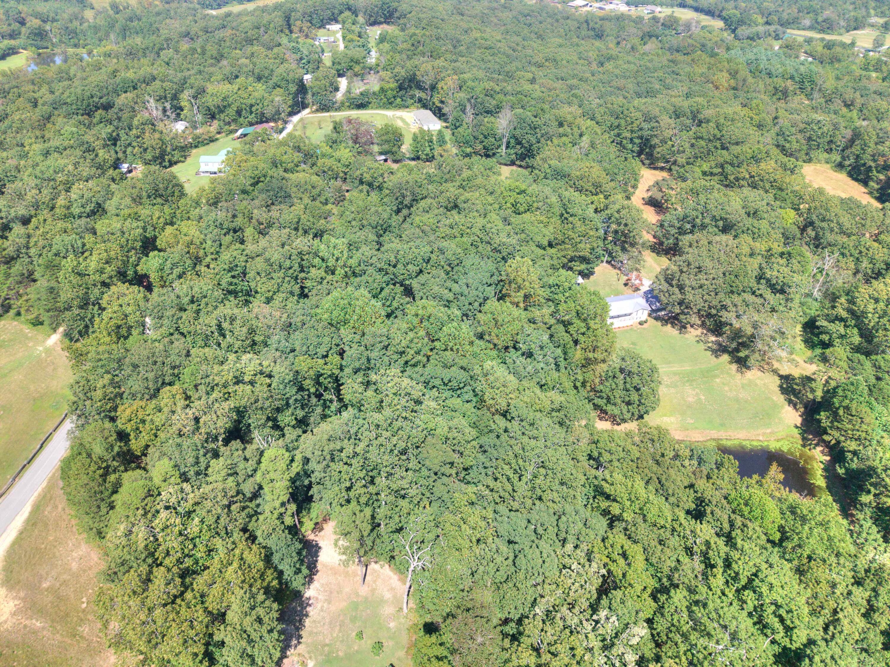 110 Hughes Road Trenton, GA 30752 - Photo 56 of 63 Drone56