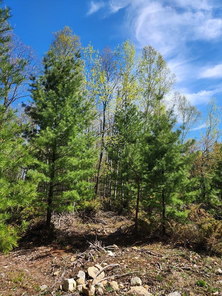 Tbd Old Stage Road Sister Bay, WI 54234 - Photo 3 of 13