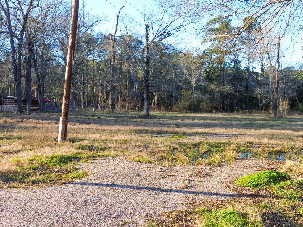 1739 County Road 373 Splendora, TX 77372 - Photo 2 of 12