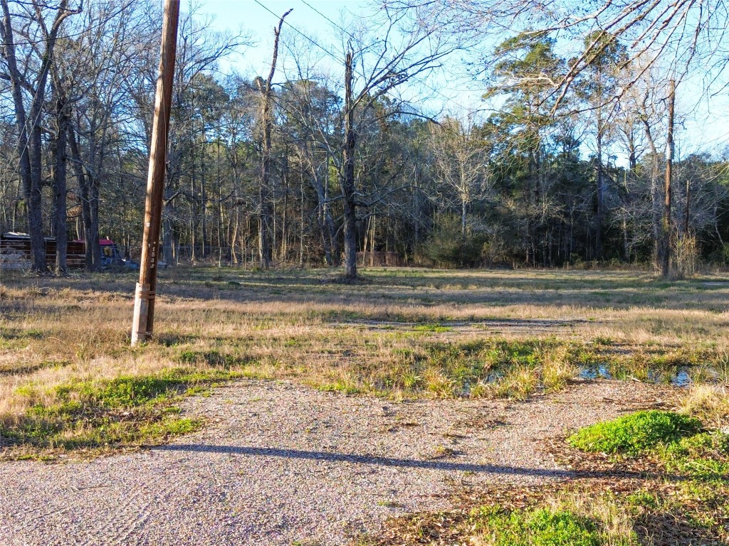 1739 County Road 373 Splendora, TX 77372 - Photo 3 of 12