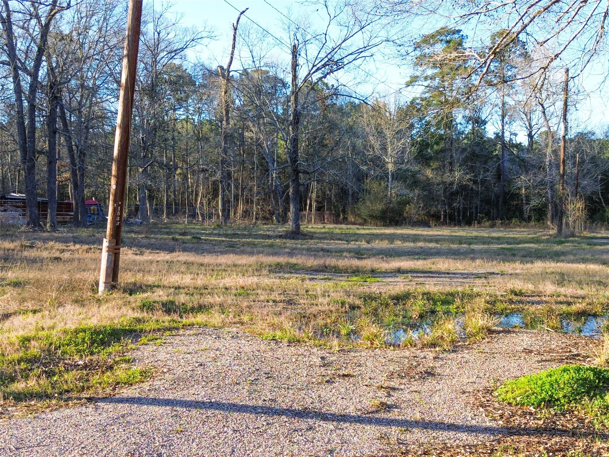 1739 County Road 373 Splendora, TX 77372 - Photo 4 of 12 a view of a yard with large trees