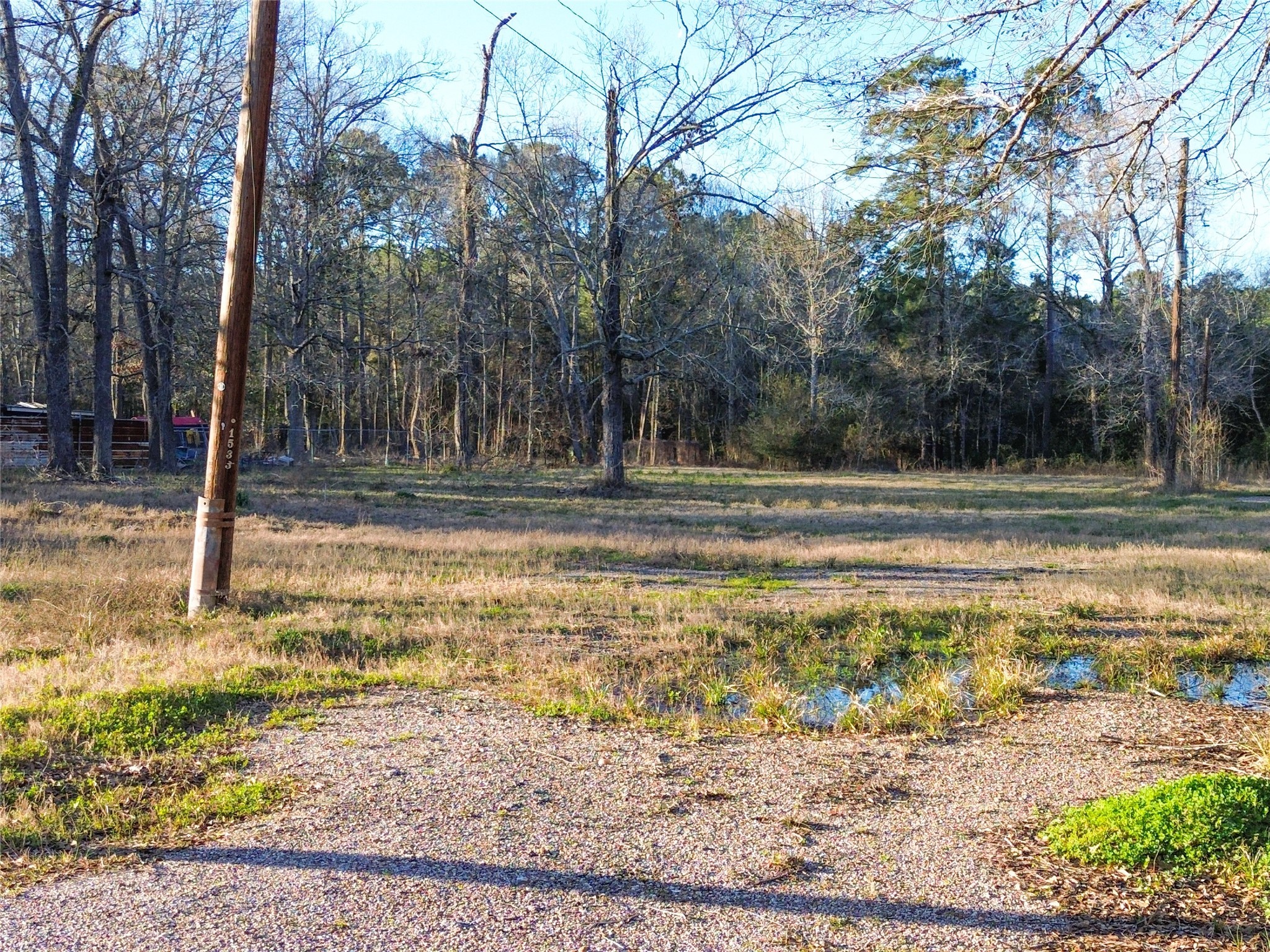 1739 County Road 373 Splendora, TX 77372 - Photo 5 of 12 a view of a backyard of the house