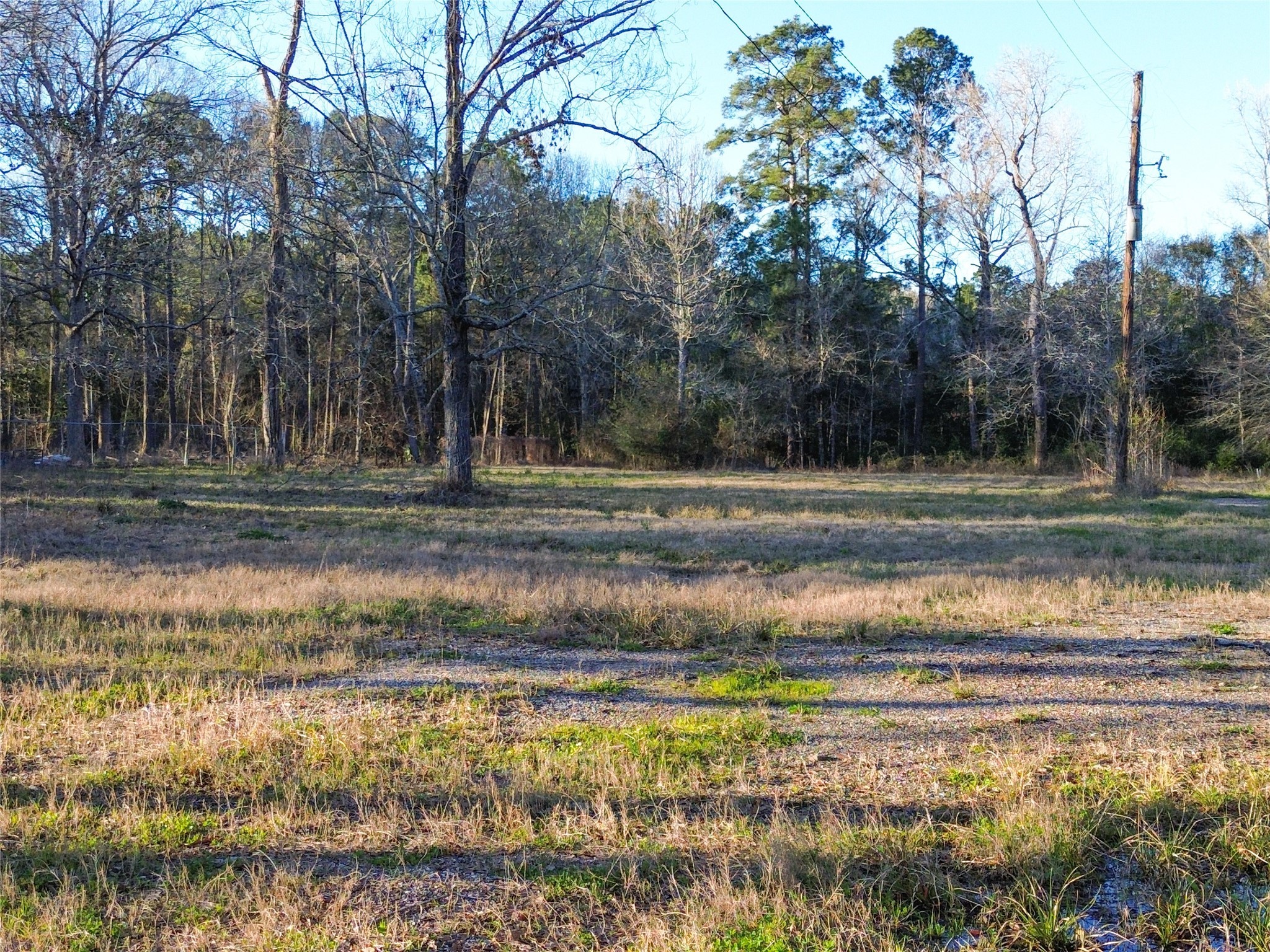 1739 County Road 373 Splendora, TX 77372 - Photo 6 of 12 a view of a backyard of the house